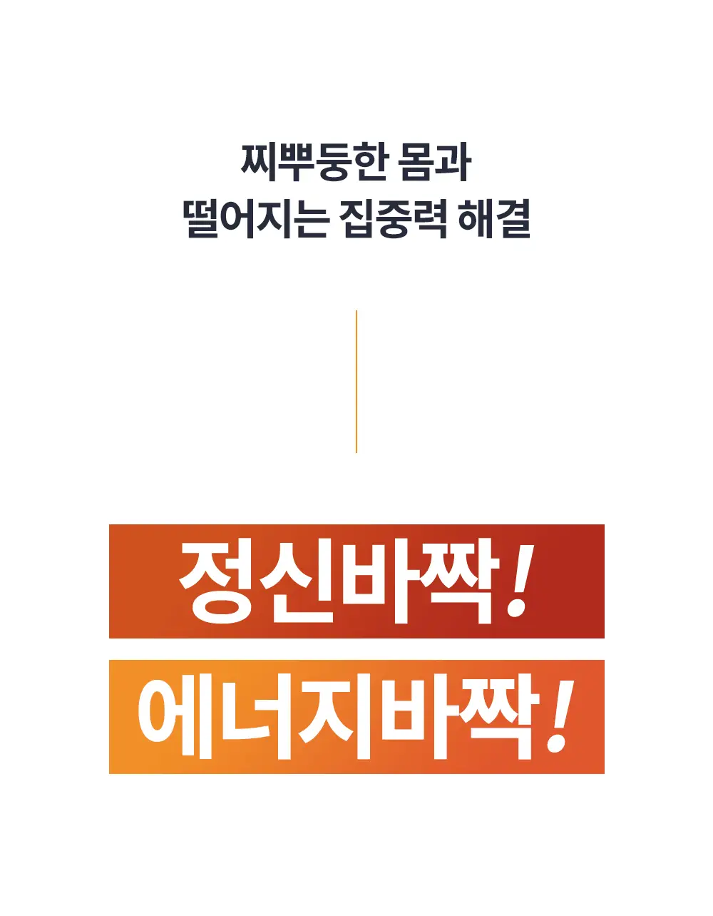 [냉온사우나] 폴라레나 호랑이크림티슈 5매입 상세페이지 3